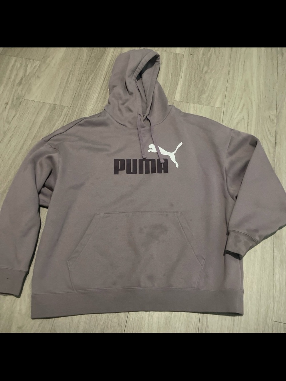 Puma Women's Hoodie in Dusty Mauve with White Logo